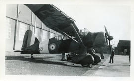 Photo: Westland Lysander on Tarmack