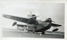 Photo: Grumman G-21 Goose on Tarmack