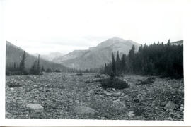 Photo: Anson Crash - Moose Mountain 9 (AF2013.009)
