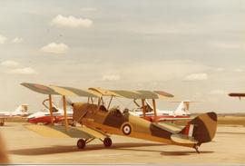 Photo: Tiger Moth