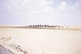Slide: Oasis