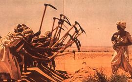 Slide: Trench Digging