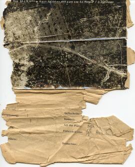 Photo: Trench Lines