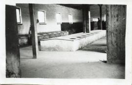 Photo: Stalag VIII-B Latrines