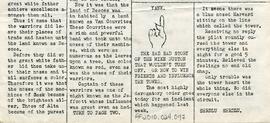 Document: Caledvanpegtoon News - Part 2