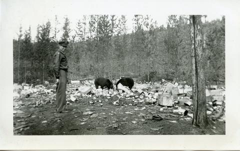 Original Digital object not accessible