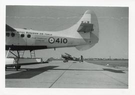 Photo: Tail End