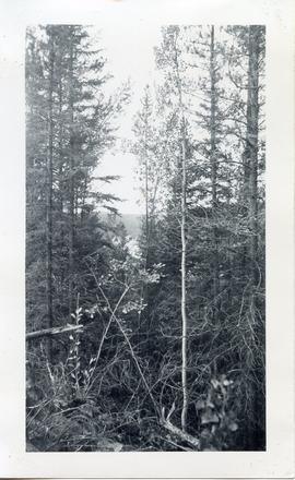 Photo: Yukon Scenery