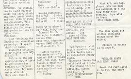 Document: Caledvanpegtoon News - Part 4