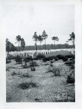 Photo: Cemetery