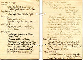 Document: Homemade Diary - Lally - Page 22-23